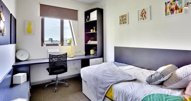 Mehrbettzimmer in 3-Zimmer-Wohnung Brisbane