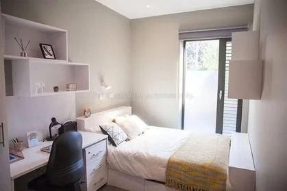 Chambre à louer dans un appartement en colocation à Exeter