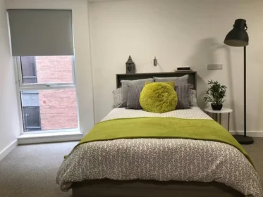 Stanza privata in Q Studios, North St, Stoke-on-Trent ST4 7FA, United Kingdom, immagine 36 di 49