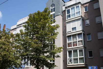 Accommodation in the centre of Karlsruhe