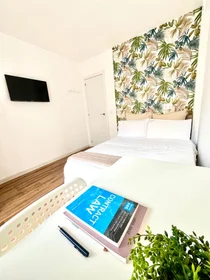 Quarto privado em Av. de la Paz, imagem 3 de 13