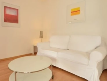 Entire fully furnished flat in Dusseldorf