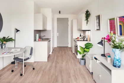 Appartement entièrement meublé à Leiden