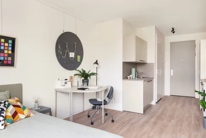 Appartement moderne et lumineux à Leiden