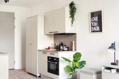 Two bedroom accommodation in Leiden