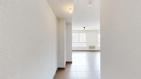 Logement entier à Avenue Louis Sallenave, , image 4 de 10