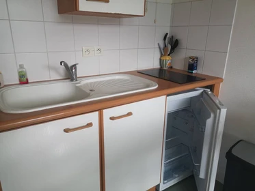 Room for rent in a shared flat in La Rochelle