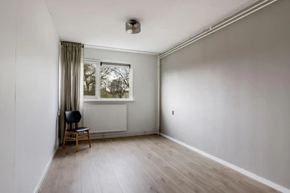 Alquiler de habitaciones por meses en Leeuwarden