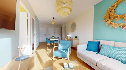 Private room at Rue Louise Michel, 38100 Grenoble, France, image 7 of 11