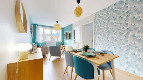 Private room at Rue Louise Michel, 38100 Grenoble, France, image 9 of 11
