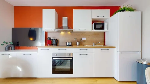 Habitación privada en 13 Bd Valbenoite, 42100 Saint-Étienne, France, imagen 13 de 29