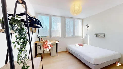 Private room at 9 Av. Henri Dunant, 64000 Pau, France, image 1 of 10