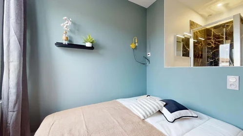 Stanza privata in 10 Rue de Dijon, 33100 Bordeaux, France, immagine 1 di 24