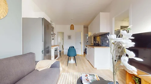 Stanza privata in 10 Rue de Dijon, 33100 Bordeaux, France, immagine 14 di 24