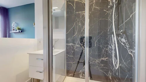 Stanza privata in 10 Rue de Dijon, 33100 Bordeaux, France, immagine 9 di 24