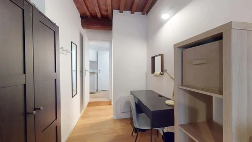 Privatzimmer in der 10 Rue Taison, 57000 Metz, France, bild 9 von 19