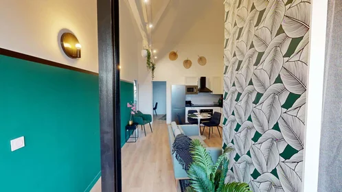 Stanza privata in 33000 Bordeaux, France, immagine 15 di 15