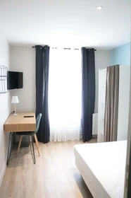 Bright private room in Rennes