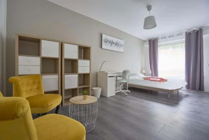 Chambre privée à 14 All. des Tuileries 105 566, 59800 Lille, France, image 1 de 10