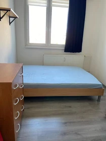 Chambre à louer dans un appartement en colocation à Ostrava