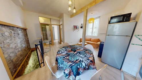 Appartamento intero in Rue des Frères Chappe, Crêt de Roc, immagine 6 di 10