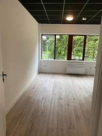 Very bright studio for rent in Groningen