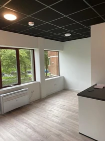 Very bright studio for rent in Groningen
