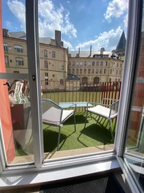 Appartamento intero in Rue du Pont Saint-Marcel 5, immagine 1 di 10