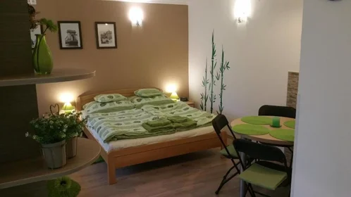 Całe miejsce Víznyelő utca, Budapest 3, obraz 1 10