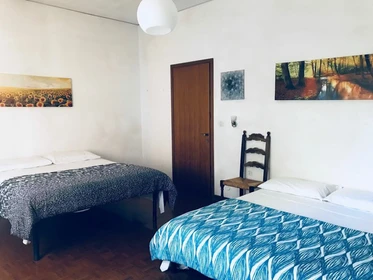 Bright shared room for rent in venezia