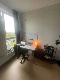 Groningen içinde aydınlık özel oda