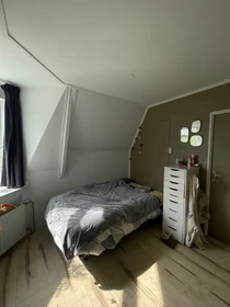 Bright private room in Leeuwarden