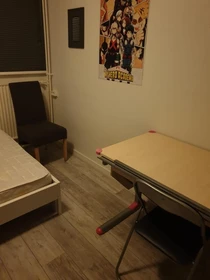 Pokój do wynajęcia we wspólnym mieszkaniu w Leeuwarden