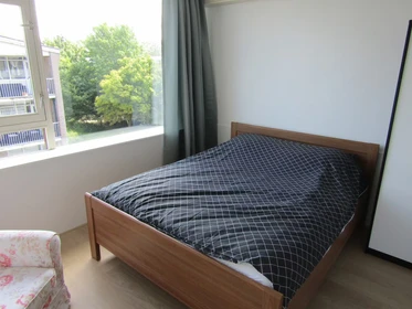 Pokój do wynajęcia z podwójnym łóżkiem w Delft