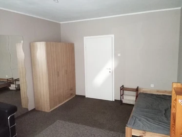 Chambre à louer avec lit double Poznań