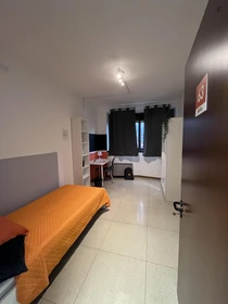 Chambre à louer dans un appartement en colocation à Trento