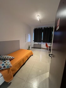 Room for rent in a shared flat in Trento