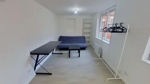 Gesamte Unterkunft in der Rue Labedoyere, Sainte Marie-Saint Leon, bild 5 von 10