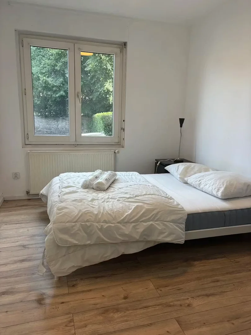 Room for rent in student apartment in , fully furnished