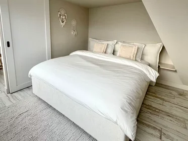 Apartamento inteiro em Rijnzichtweg, , imagem 3 de 10