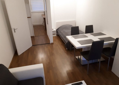 Appartamento completamente ristrutturato a Norimberga