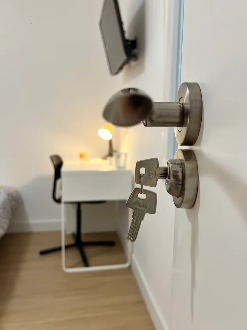Budget-friendly student room close to campus in 