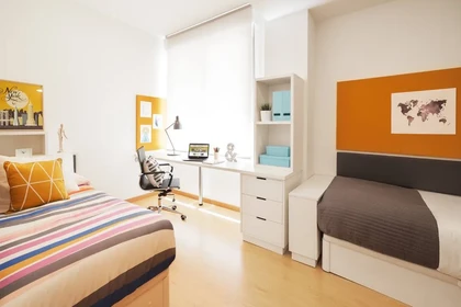 Bright shared room for rent in Pamplona/iruña