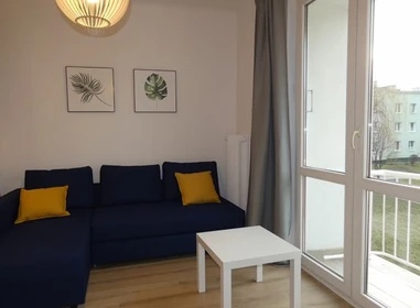 Entire fully furnished flat in Lublin