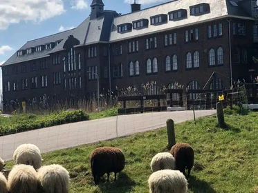 Stanza privata economica a Leiden