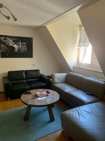 Alquiler de habitación en piso compartido en Maastricht