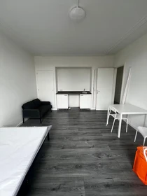 Den Haag de aylık kiralık oda