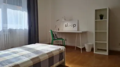 Cheap shared room in venezia