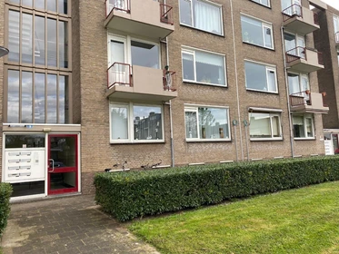 Alquiler de habitaciones por meses en Maastricht