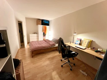 Chambre à louer dans un appartement en colocation à Zurich